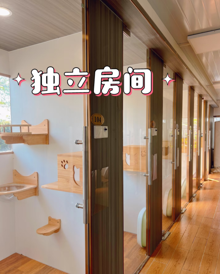 中山宠物